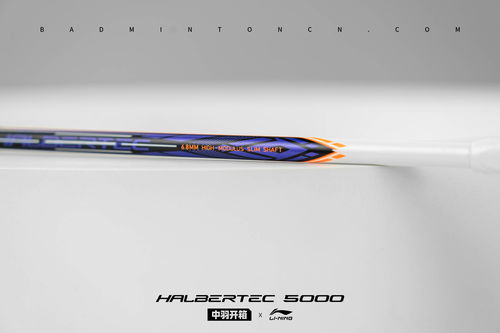 中羽開箱 從容布局 攻守并重 李寧 戰戟5000 球拍圖賞