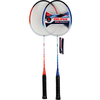 得力(deli)風行F2101 羽毛球拍全鐵T型+三球套裝 家庭裝【圖片 價格 品牌 報價】-京東