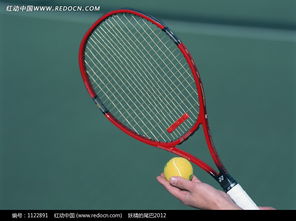 舉著網球和球拍準備發球的手圖片免費下載 編號1122891 紅動網