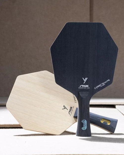 打敗王楚欽 用奇特六角形球拍拿到奧運銀牌 都在問瑞典鮮肉是誰