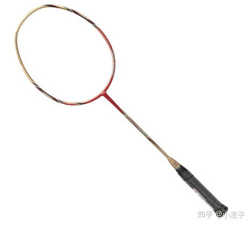 羽毛球拍怎么選 新手 入門羽毛球拍該怎么選購 2021年羽毛球拍推薦 選購指南