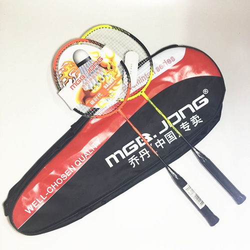 專業之選 正品羽毛球拍2支裝，輕量碳素助力初學者進階