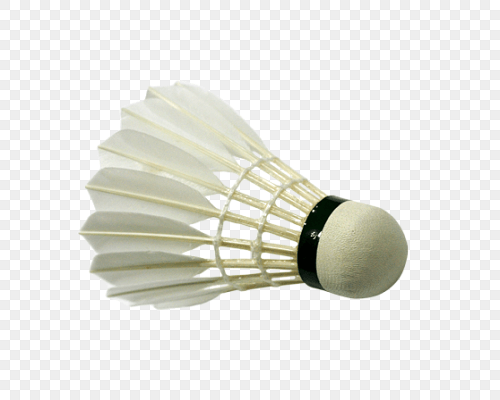 羽毛球拍的分類與選購指南