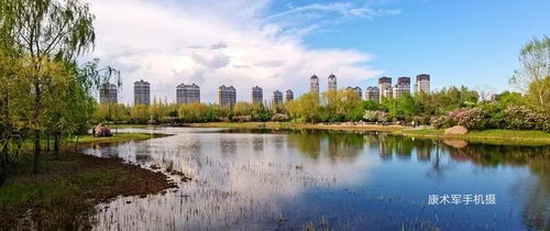 丁香園里的多彩風光——康術軍手機隨拍作品選