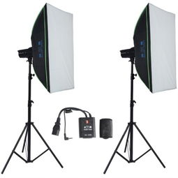 金鷹L4 400W雙燈套裝 照亮專業(yè)靜物與人像攝影的得力助手