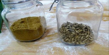 芬蘭食品公司推出世界首款蟋蟀粉面包，開(kāi)創(chuàng)可持續(xù)食品新紀(jì)元